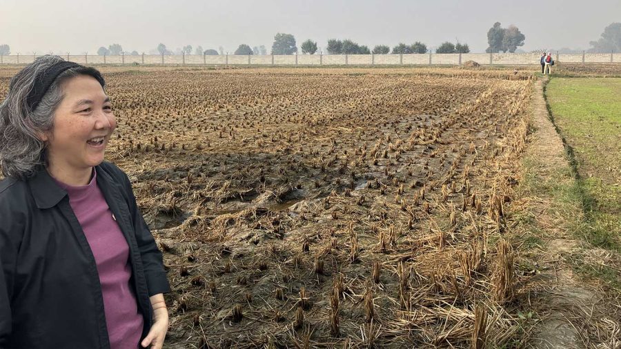 Field in India